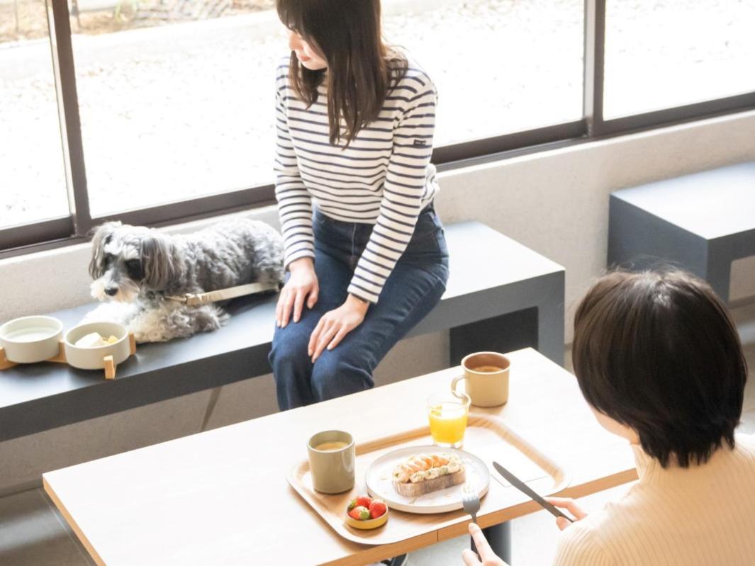 Hotel Anddoggy Kyoto Nijo Eksteriør billede