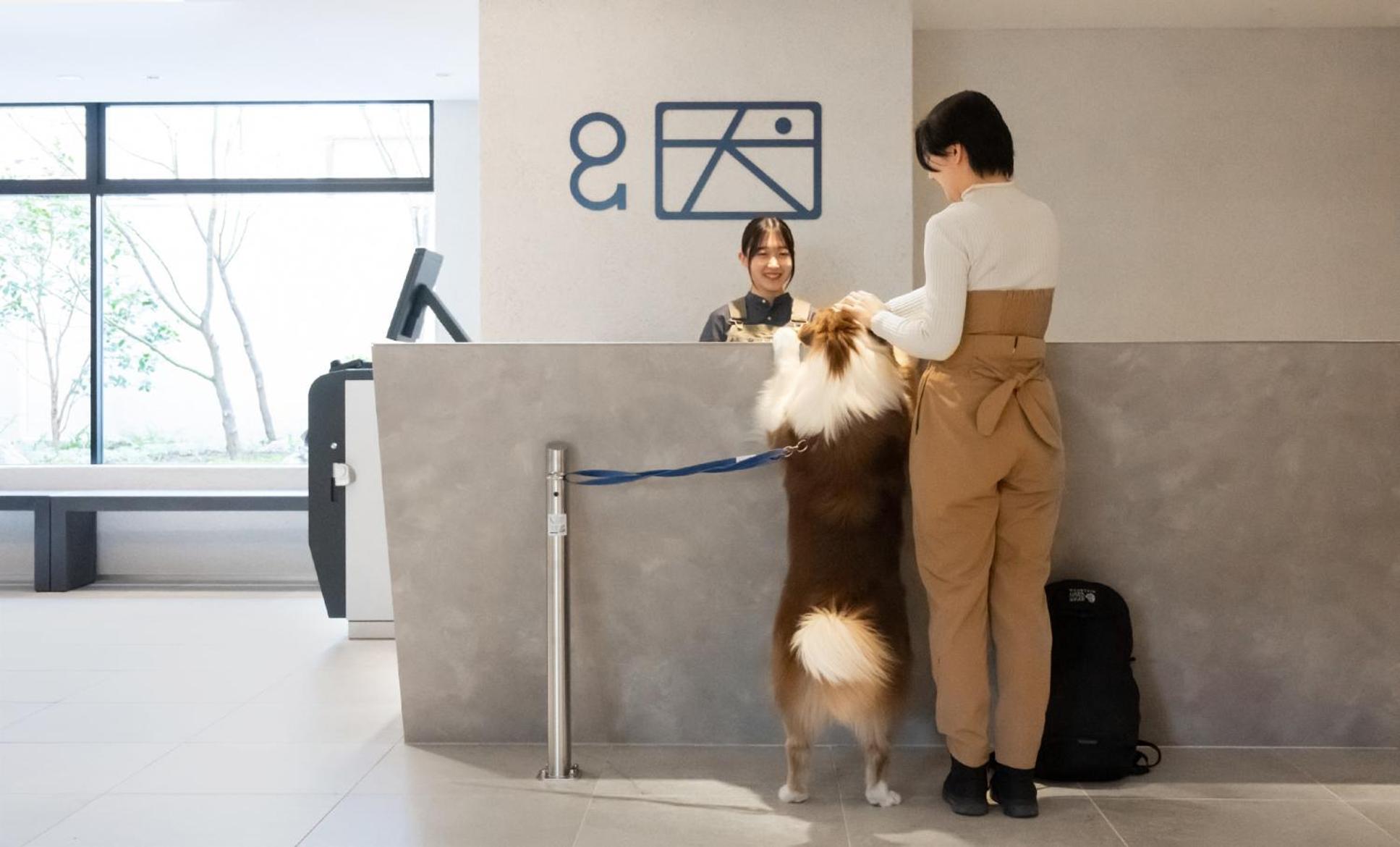 Hotel Anddoggy Kyoto Nijo Eksteriør billede