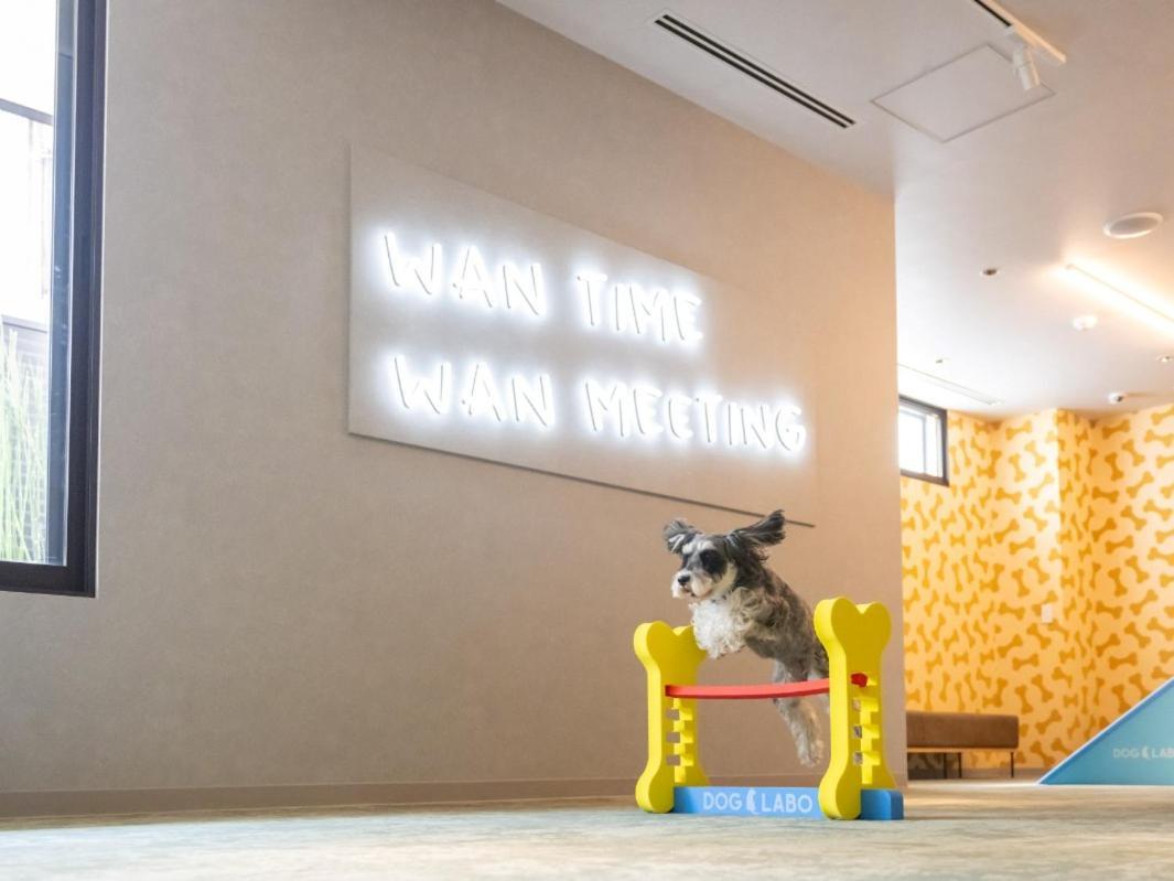 Hotel Anddoggy Kyoto Nijo Eksteriør billede