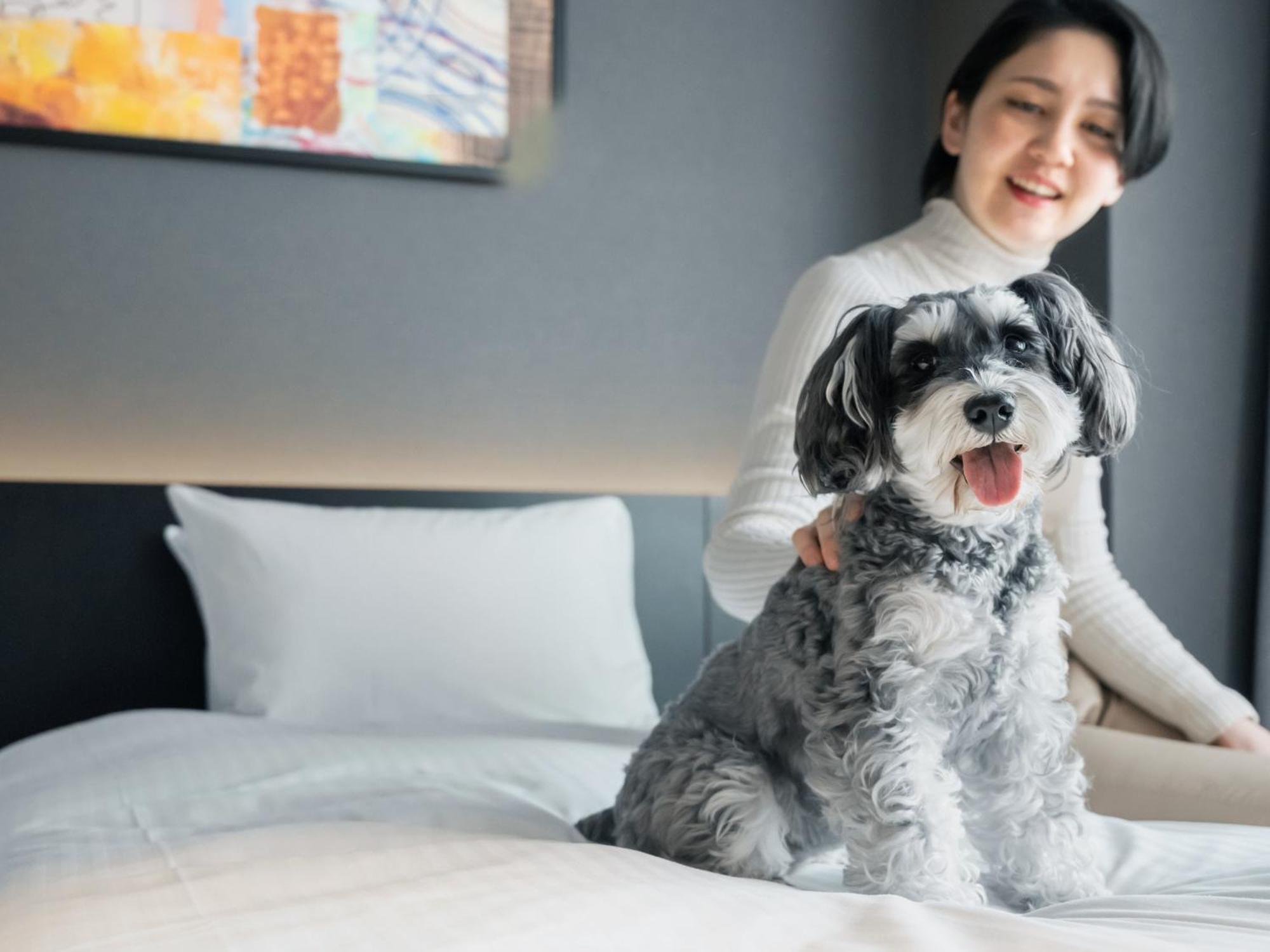 Hotel Anddoggy Kyoto Nijo Eksteriør billede