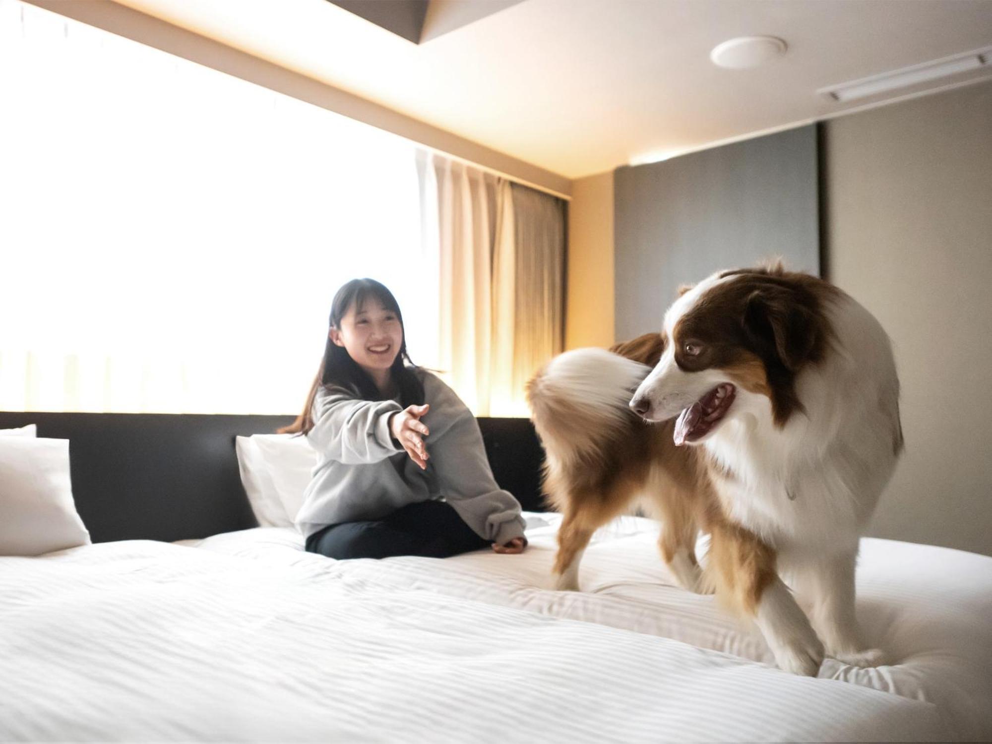 Hotel Anddoggy Kyoto Nijo Eksteriør billede